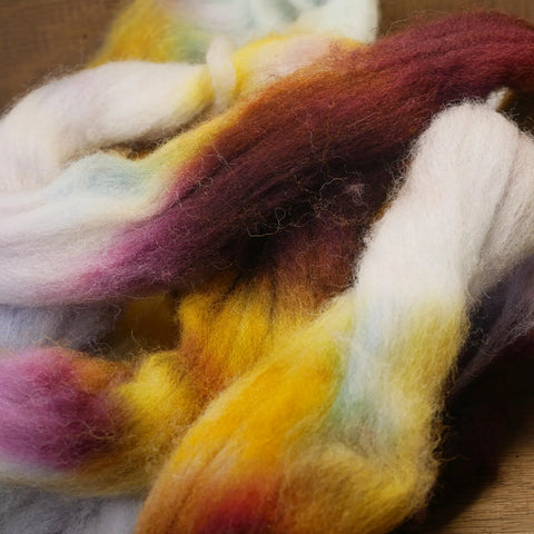 100g Hand Dyed Dorset Horn Wool Top for Handspinning or Felting - 'Brambles'