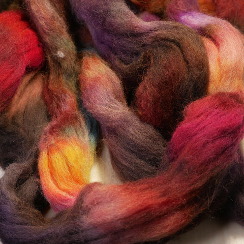 Southdown Wool Top for Hand Spinning and Felting - 'Winter Fruits"