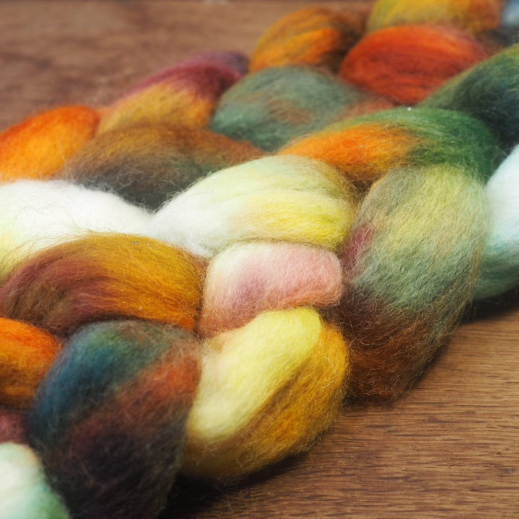 Hand Dyed Shetland Wool Top for Spinning or Felting - 'Orchard’