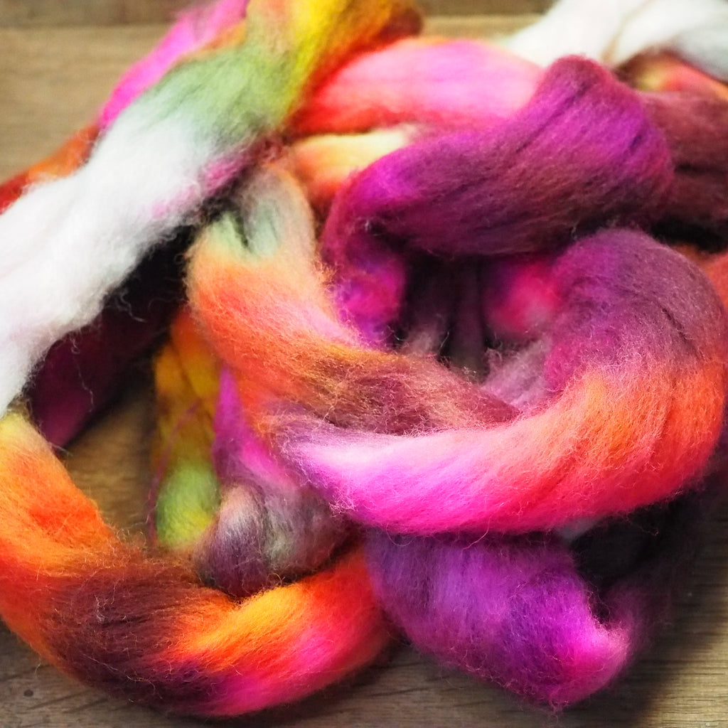 Hand Dyed Shetland Wool Top for Spinning or Felting - 'Winter Berries’