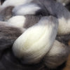 Southdown Wool Top for Hand Spinning and Felting - 'Owl'