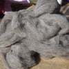 Homegrown Ryeland / Shetland Sliver - Natural Grey, 100g