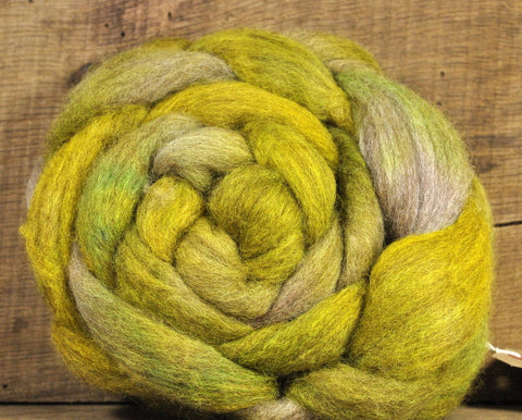 BFL Wool Top for Hand Spinning - 'Avocado Shades'