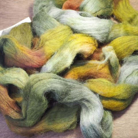 Hand Dyed Cheviot Wool Top for Spinning or Felting - 'Lichen'