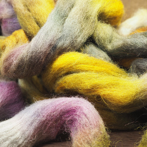 Hand Dyed Cheviot Wool Top for Spinning or Felting - 'Moss and Violet'