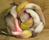 English Wool Blend Dyed Top - 'Fauna'