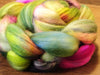 Hand Dyed Superwash English Wool with Nylon Blend Top for Spinning, - 'Hedgerows Flowers'