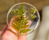 Top Whorl Resin Drop Spindle - Fern Frond and Cow Parsley