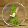 Top Whorl Resin Drop Spindle - Fern Frond