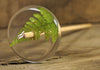 Resin Drop Spindle - Lady Fern (1)