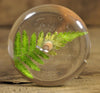 Resin Drop Spindle - Lady Fern (2)