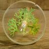 Resin Drop Spindle - Oak Moss (Lichen)