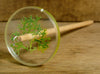 Resin Drop Spindle - Oak Moss (Lichen)