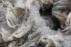 Raw Fleece from 'Oban': Shetland Shearling, Grey, 100g