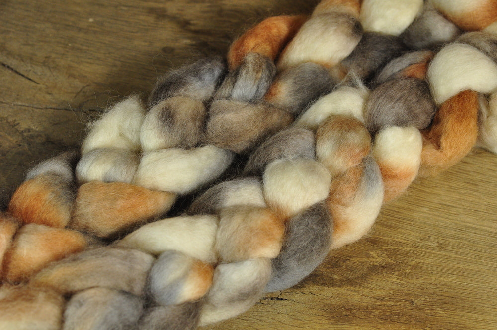 BFL Wool Top for Hand Spinning - 'Owl'