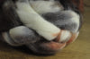 Hand Dyed Shetland Wool Top - 'Owl'