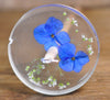 REDUCED PRICE Botanical Top Whorl Resin Drop Spindle - Blue Hydrangea and Gypsophila
