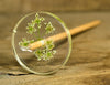 Botanical Top Whorl Resin Drop Spindle - Cow Parsley Blossom