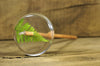 Plying Style Resin Drop Spindle - Green Fern