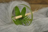 Resin Drop Spindle - Sage and Cypress Leaves