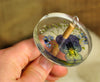 Botanical Top Whorl Resin Drop Spindle - Viola, Forget-Me-Not and Gypsophila