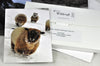 Note Card Set - Winter Sheep