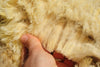 REDUCED! Raw Fleece from 'Yan Lamb': Shetland x Ryeland Shearling, Cream - Free UK Shipping!